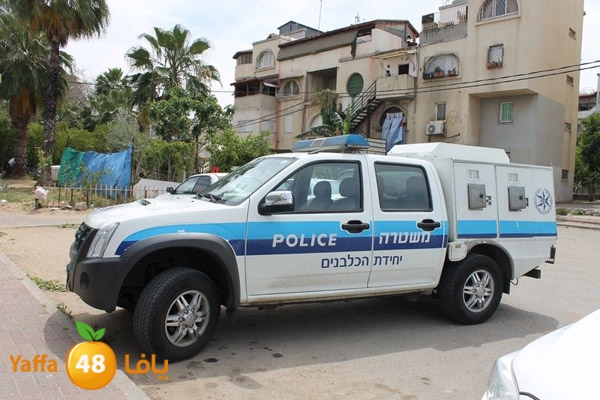 ludpolicedogs411 (2).jpg